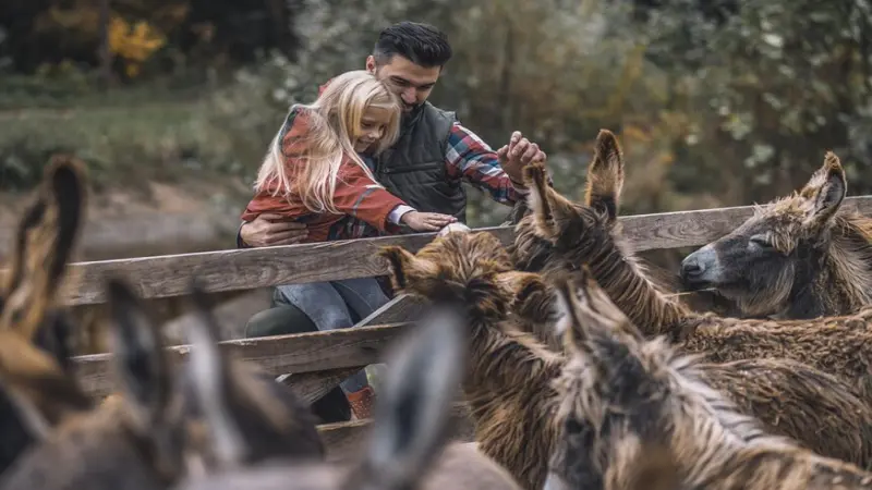 People Come To Uruguay To Watch Which Animal? Birds Gazelles Elephants Wildebeasts