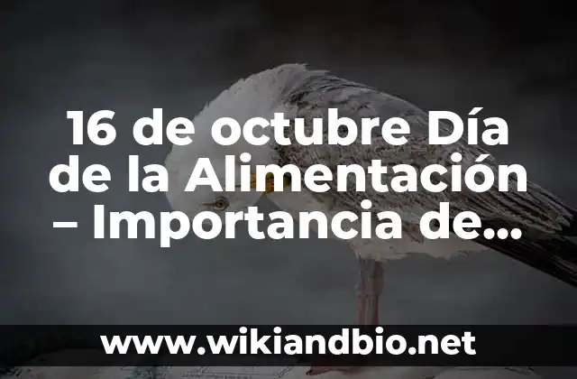 16 de octubre Día de la Alimentación – Importancia de una Alimentación Saludable