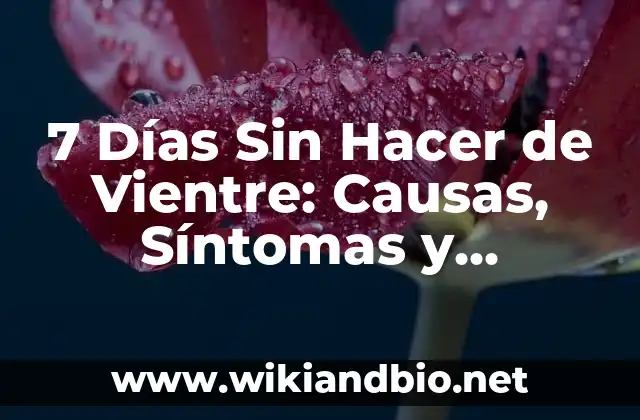 7 Días Sin Hacer de Vientre: Causas, Síntomas y Soluciones