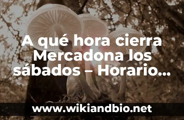 A qué hora cierra Mercadona los sábados – Horario de apertura y cierre
