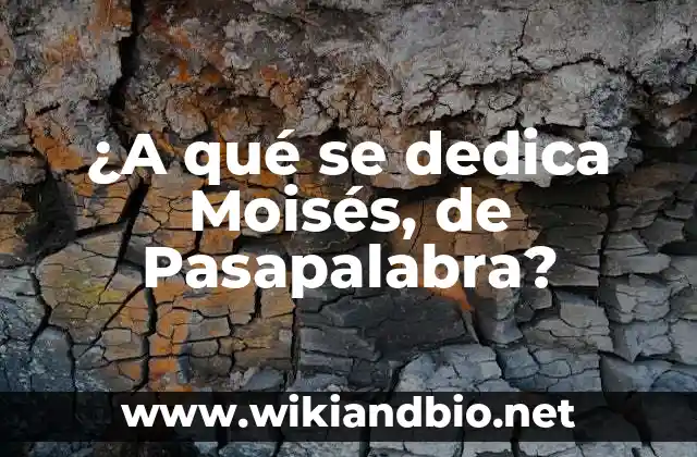 ¿A qué se dedica Moisés, de Pasapalabra?