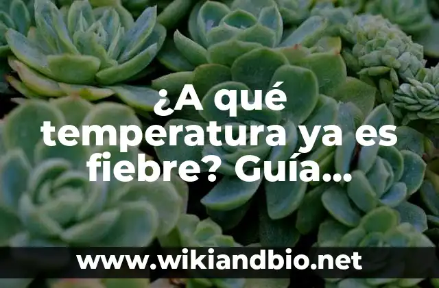 ¿A qué temperatura ya es fiebre? Guía completa sobre la fiebre y su tratamiento
