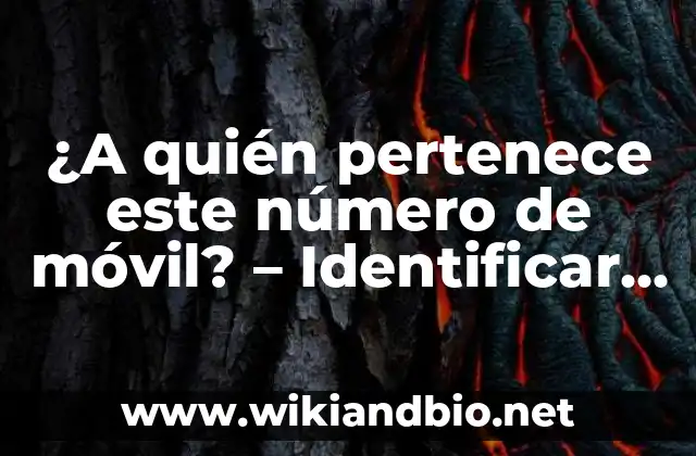 ¿Por qué es importante identificar el propietario de un número de móvil?