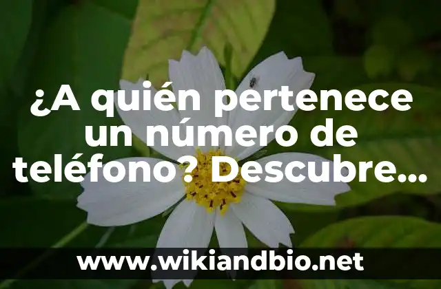 ¿Por qué es importante conocer el dueño de un número de teléfono?