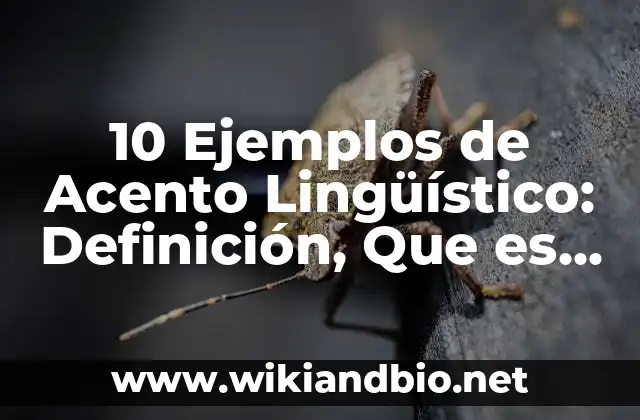10 Ejemplos de Acento Lingüístico: Definición, Que es, Diferencias, Significado y Usos
