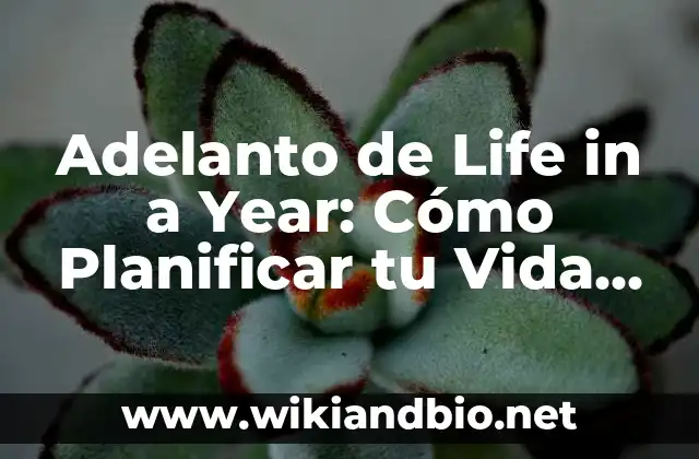 Game of the Year (GOTY) del Año: Una Guía Completa 3 Adelanto de Life in a Year: Cómo Planificar tu Vida en 12 Meses