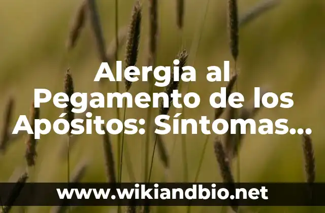 Alergia al Pegamento de los Apósitos: Síntomas y Tratamiento de la Reacción Alérgica