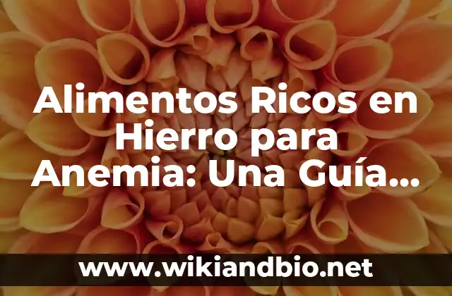 Alimentos Ricos en Hierro para Anemia: Una Guía Completa para Combatir la Deficiencia de Hierro