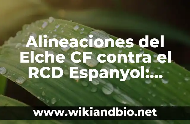 Alineaciones del Elche CF contra el RCD Espanyol: Análisis y Estadísticas
