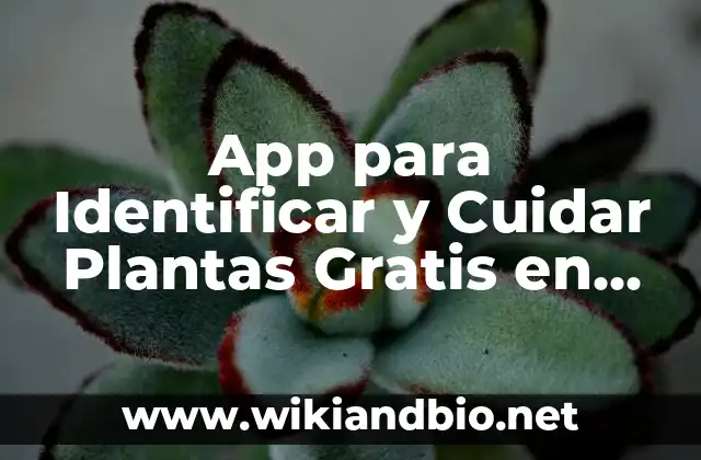 App para Identificar y Cuidar Plantas Gratis en Español