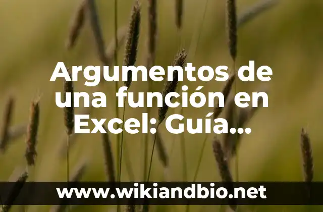 Argumentos de una función en Excel: Guía completa y detallada