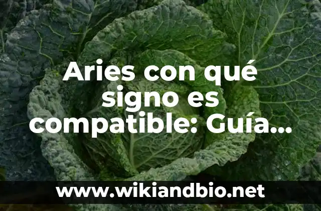 Aries con qué signo es compatible: Guía definitiva