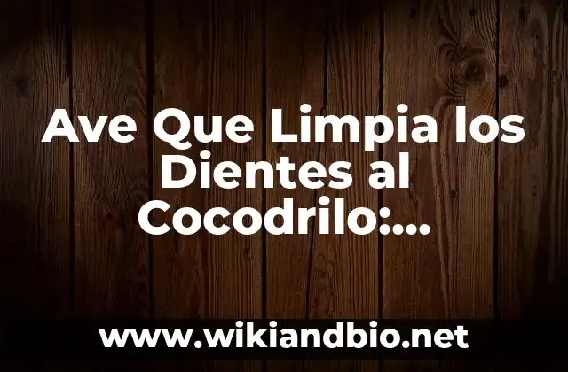 ¿Qué es la Jacana y Cómo Vive en la Selva?