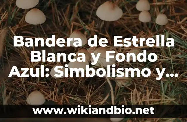 Orígenes de la Bandera de Estrella Blanca y Fondo Azul