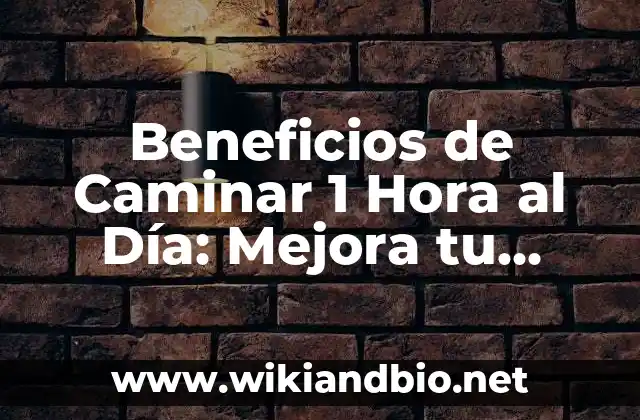 Beneficios de Caminar 1 Hora al Día: Mejora tu Salud y Bienestar
