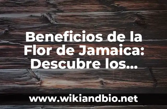 ¿Qué es la Flor de Jamaica y Cómo se Utiliza?