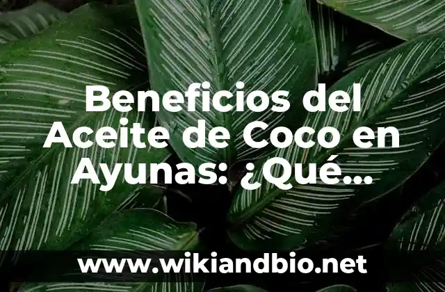Beneficios del Aceite de Coco en Ayunas: ¿Qué Ocurre Cuando Lo Combina con el Ayuno?