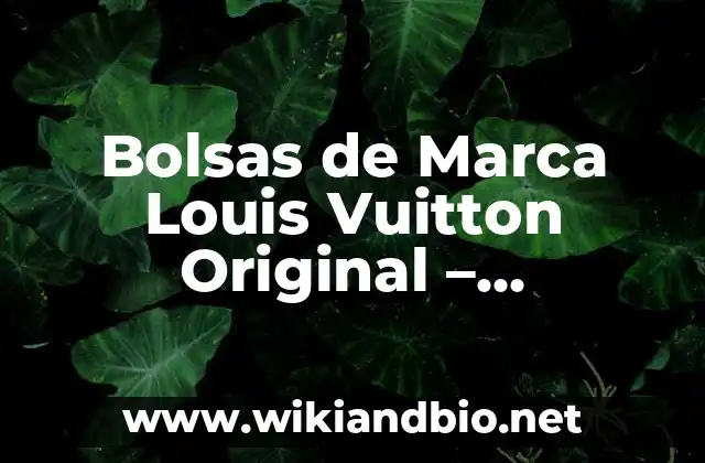 Bolsas de Marca Louis Vuitton Original – Autenticidad y Elegancia