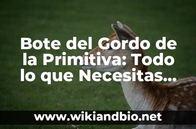 Bote del Gordo de la Primitiva: Todo lo que Necesitas Saber sobre el Sorteo Español Más Popular