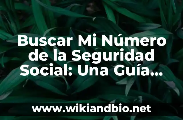 Buscar Mi Número de la Seguridad Social: Una Guía Completa