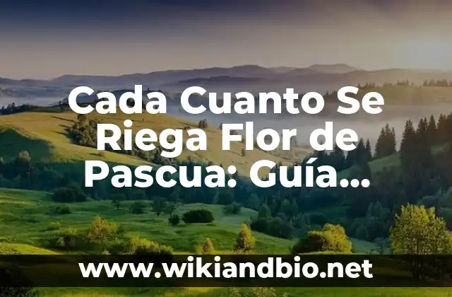 ¿Cuáles son las Condiciones Ideales para la Flor de Pascua?