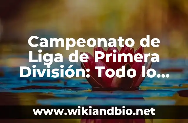 Campeonato de Liga de Primera División: Todo lo que Necesitas Saber