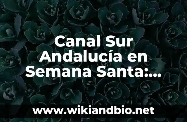 Canal Sur Andalucía en Semana Santa: Programación y Horarios