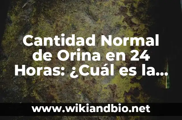 Cantidad Normal de Orina en 24 Horas: ¿Cuál es la Norma?