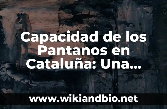 Capacidad de los Pantanos en Cataluña: Una Visión General