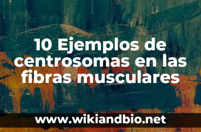10 Ejemplos de centrosomas en las fibras musculares