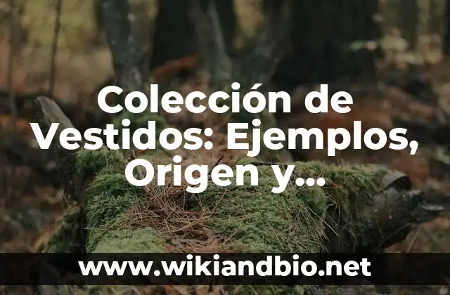 Colección de Vestidos: Ejemplos, Origen y significado
