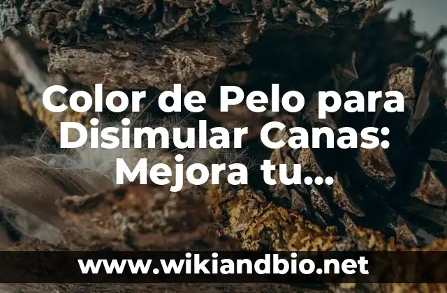 ¿Cuáles son las Causas de las Canas?