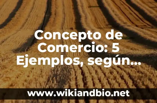Concepto de Comercio: 5 Ejemplos, según autor y definición