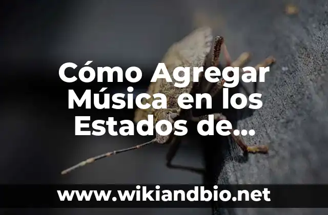 Cómo Agregar Música en los Estados de WhatsApp