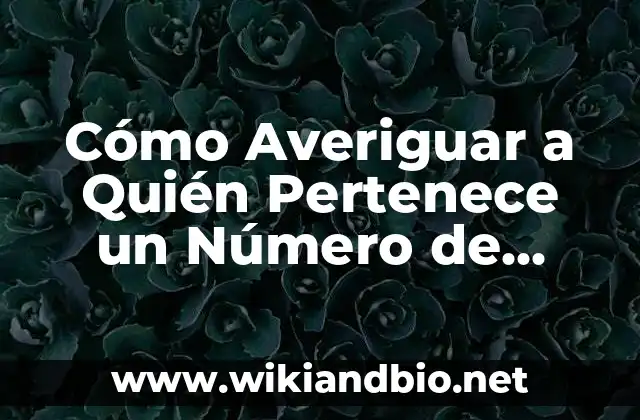 Cómo Averiguar a Quién Pertenece un Número de Teléfono Móvil – Guía Completa