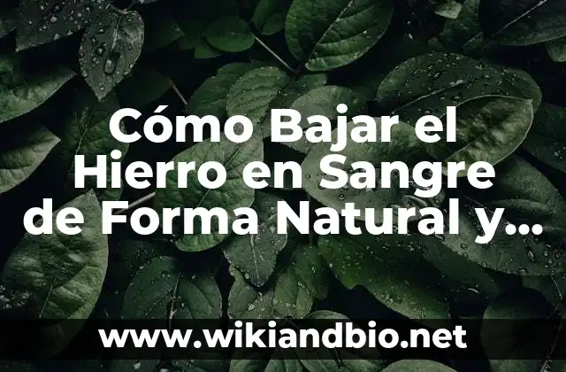 Cómo Bajar el Hierro en Sangre de Forma Natural y Segura
