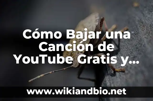 Cómo Bajar una Canción de YouTube Gratis y Segura