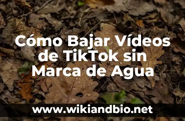 Cómo Bajar Vídeos de TikTok sin Marca de Agua