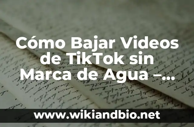 ¿Por qué Queremos Descargar Videos de TikTok sin Marca de Agua?