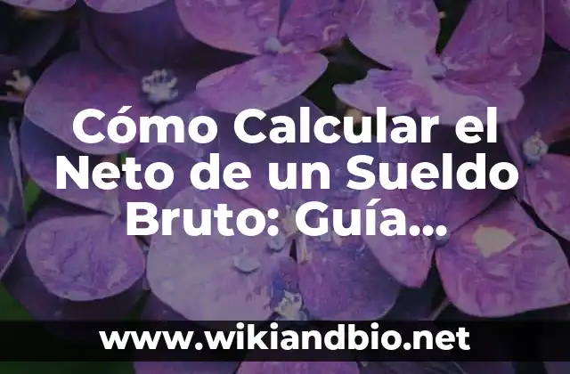 Cómo Calcular el Neto de un Sueldo Bruto: Guía Detallada