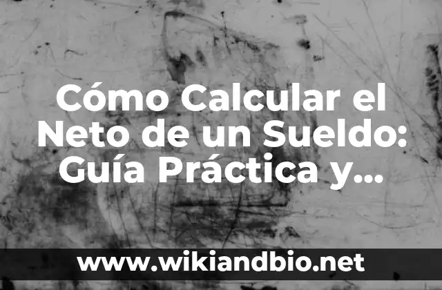 Cómo Calcular el Neto de un Sueldo: Guía Práctica y Detallada