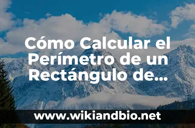 Cómo Calcular el Perímetro de un Rectángulo de Forma Fácil y Rápida