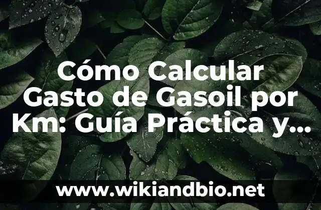 Cómo Calcular Gasto de Gasoil por Km: Guía Práctica y Detallada
