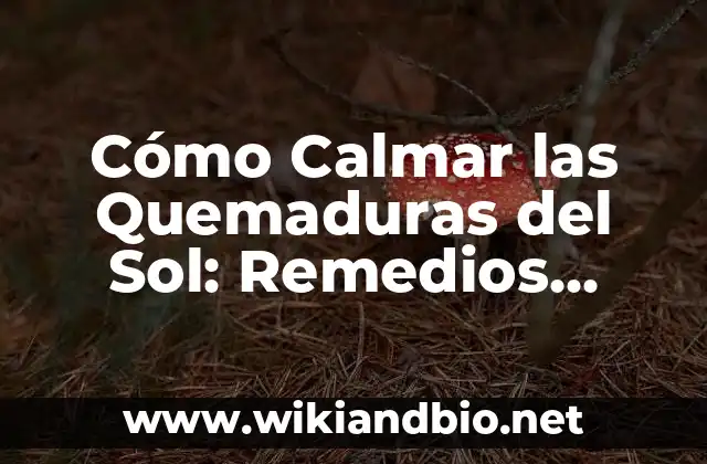 ¿Por qué las Quemaduras del Sol Son tan Dolorosas?