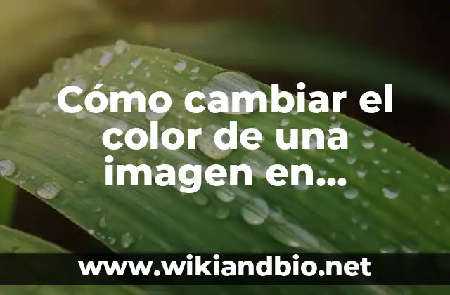 Cómo cambiar el color de una imagen en Photoshop: Tutorial Completo