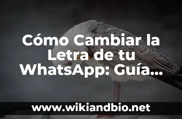 Cómo Cambiar la Letra de tu WhatsApp: Guía Definitiva