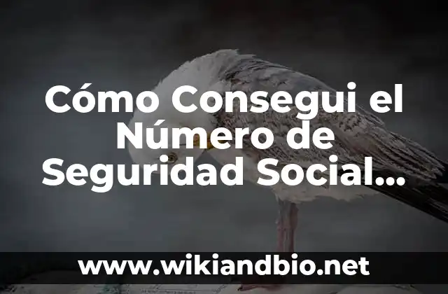 ¿Quién es Elegible para Obtener un Número de Seguridad Social?