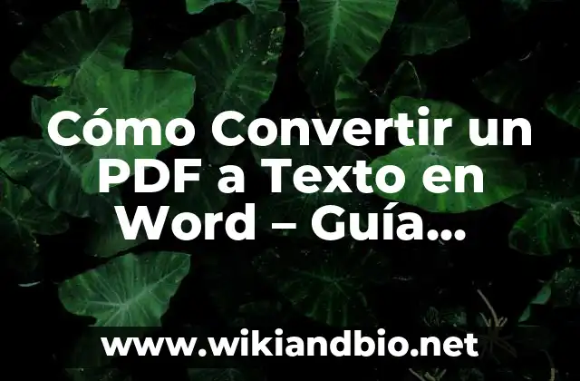 Cómo Convertir un PDF a Texto en Word – Guía Detallada
