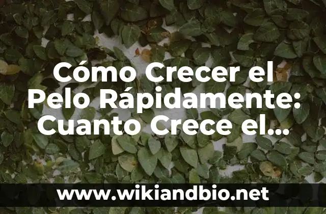 Cómo Crecer el Pelo Rápidamente: Cuanto Crece el Pelo en Dos Meses