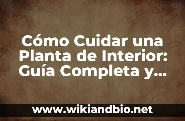 Elección de la Planta de Interior Correcta